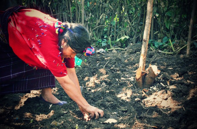 Many families have no tools: only their hands.