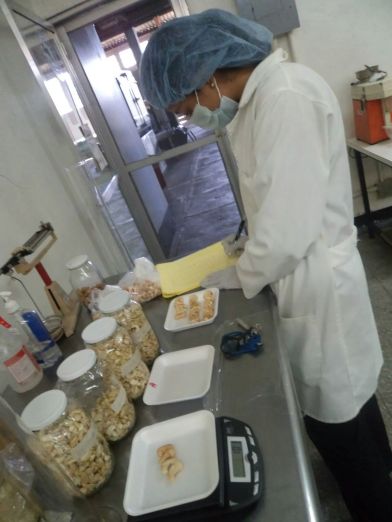 Miguel Cuj, Director of Research and Nutritionist  for Mani+ NutraPlus